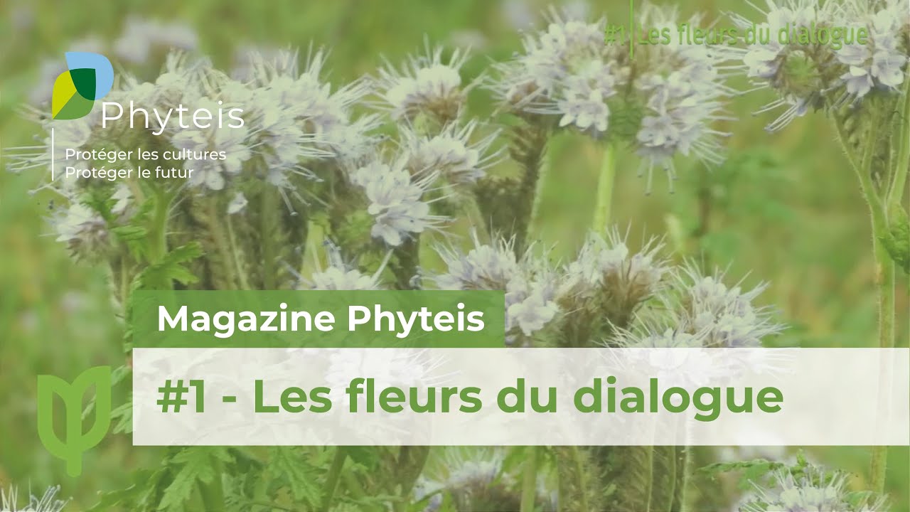 Le Magazine Phyteis n°1 - Les fleurs du dialogue