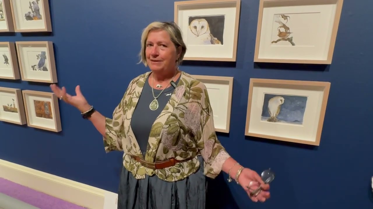 Jackie Morris