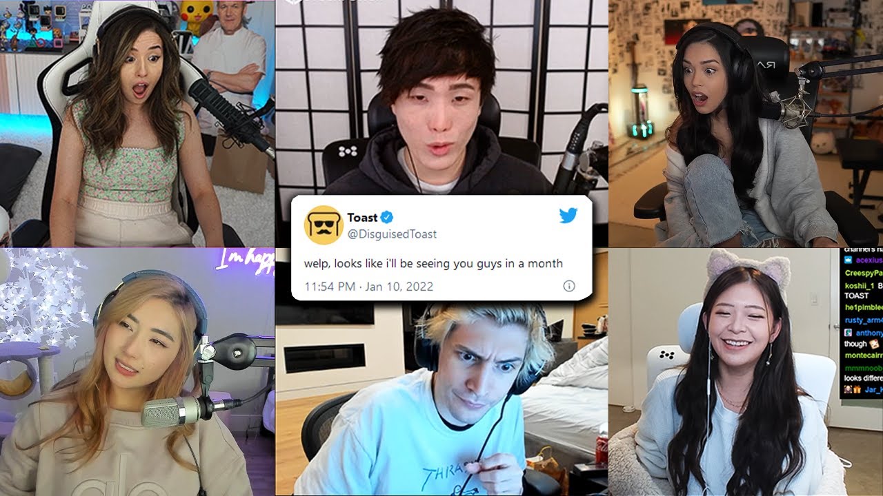 Everyone's Reaction to Toast's Ban | Pokimane, Sykkuno, Valkyrae, xQc, & More