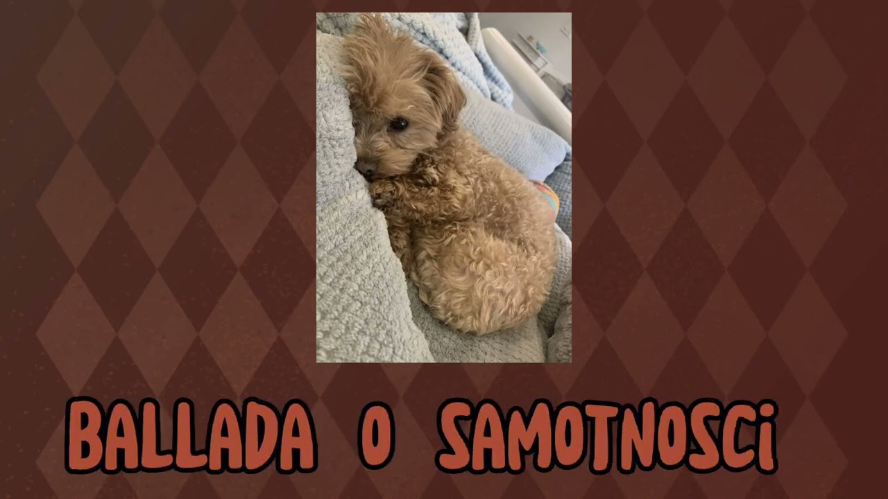 young multi - ballada o samotności °speed up°