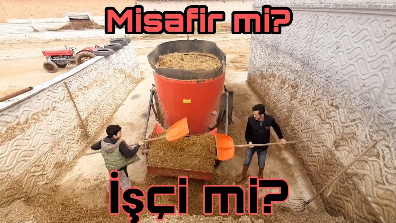 BÖYLE YOUTUBER MI OLUR? BÜTÜN İŞLERİMİZİ ELİMİZDEN ALDI. GÜNLÜK İŞLER VLOG.