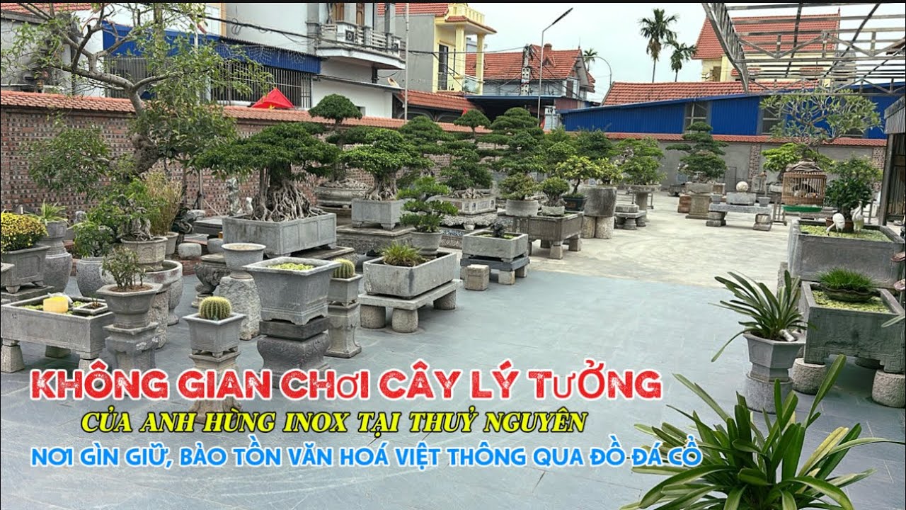 Không gian chơi cây của anh Hùng Inox, gìn giữ bảo tồn Văn Hoá Việt thông qua đồ đá cổ| Quảng Tùng