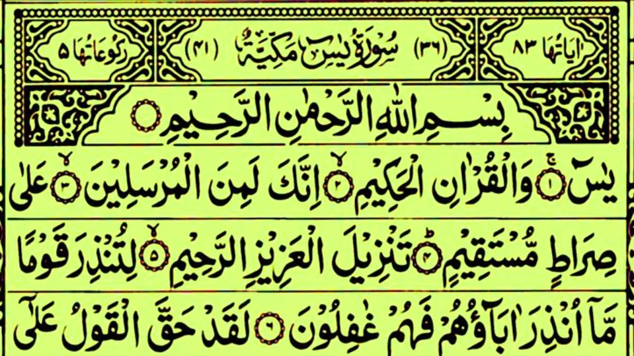 Surah Yaseen (Yasin) Surah Rahman Episode 206 | बहुत ही ख़ूबसूरत तिलावत एक बार ज़रूर सुनें | Tilawat