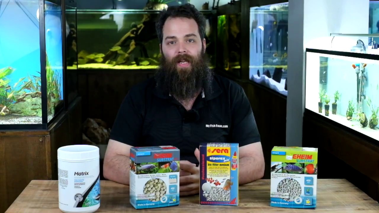 Filtración del acuario , tipos de filtros y materiales filtrantes