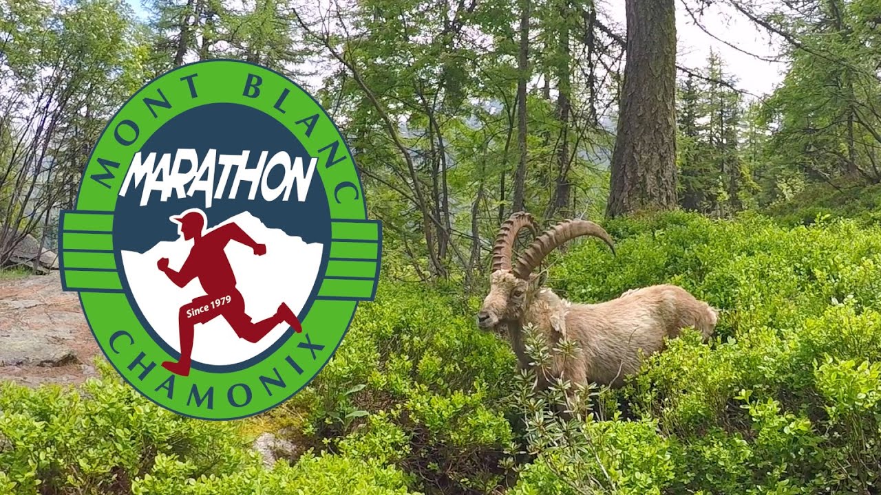 Marathon du Mont Blanc - Inside the race