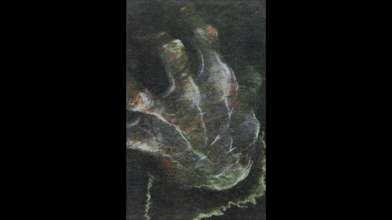 Rhinocervs - RH14