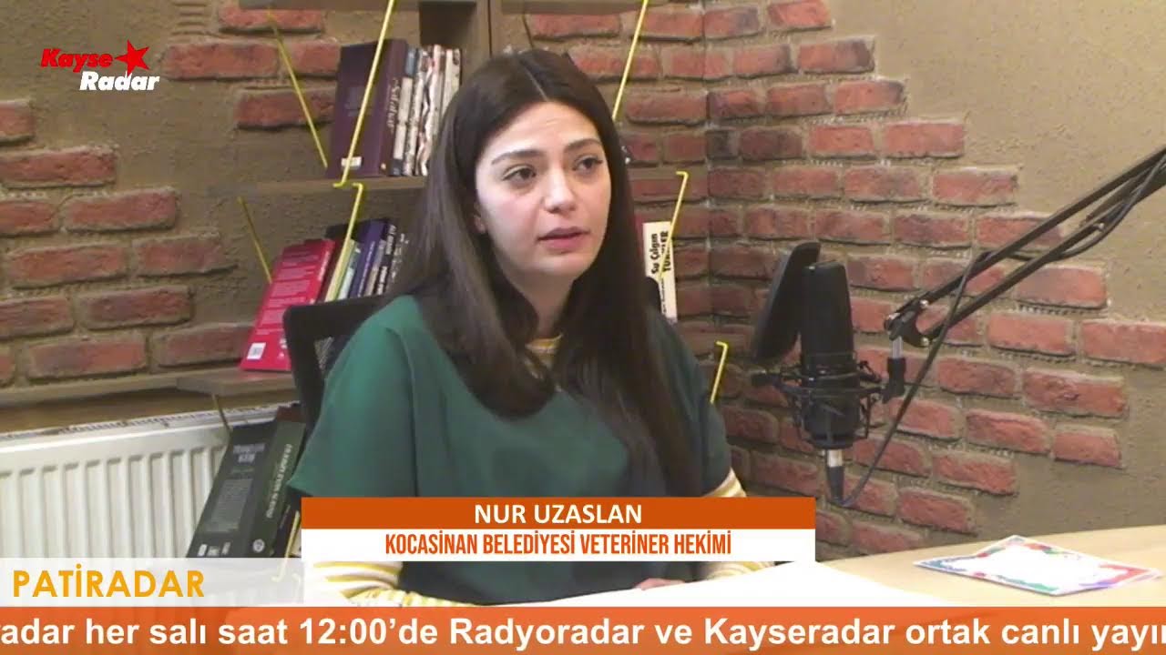 Kedi Kasabasıyla Değişen Hayatlar