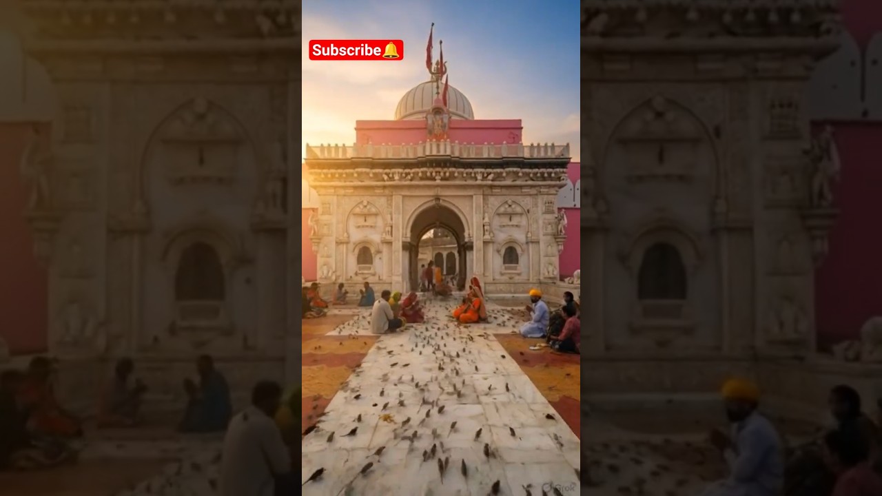 जय माँ करणी 🙏 #karnimata #desnok #trending #popular #katha #karnikripa