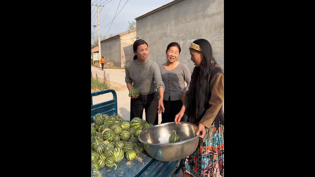 今天奶奶说我们俩故意离开家去地里，看看婆婆是如何做饭的，没想到婆婆真的做了一锅菜 还很好吃，今天是被婆婆惊讶到得一天！❤️ #记录真实生活 #记录我的农村生活 #我的乡村生活 #西瓜的神仙吃法