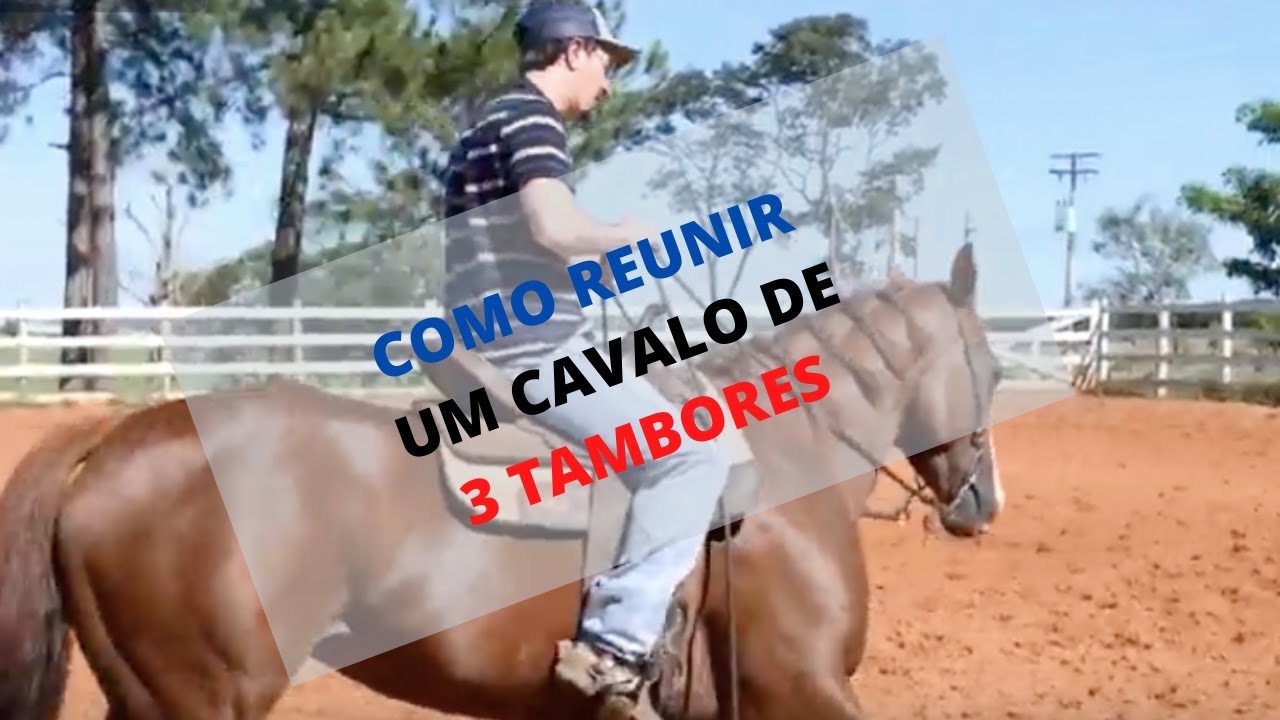 O Que Significa Reunir um Cavalo de 3 Tambores? DÉCIO TALON