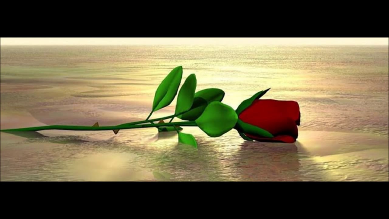 CAE- DESIERTO SIN AMOR
