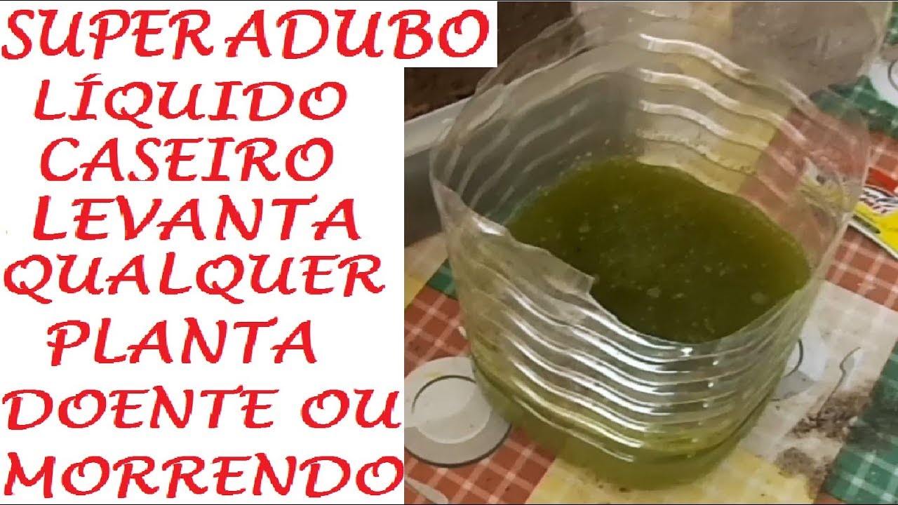 Adubo Caseiro que levanta qualquer planta, Doente ou Morrendo!