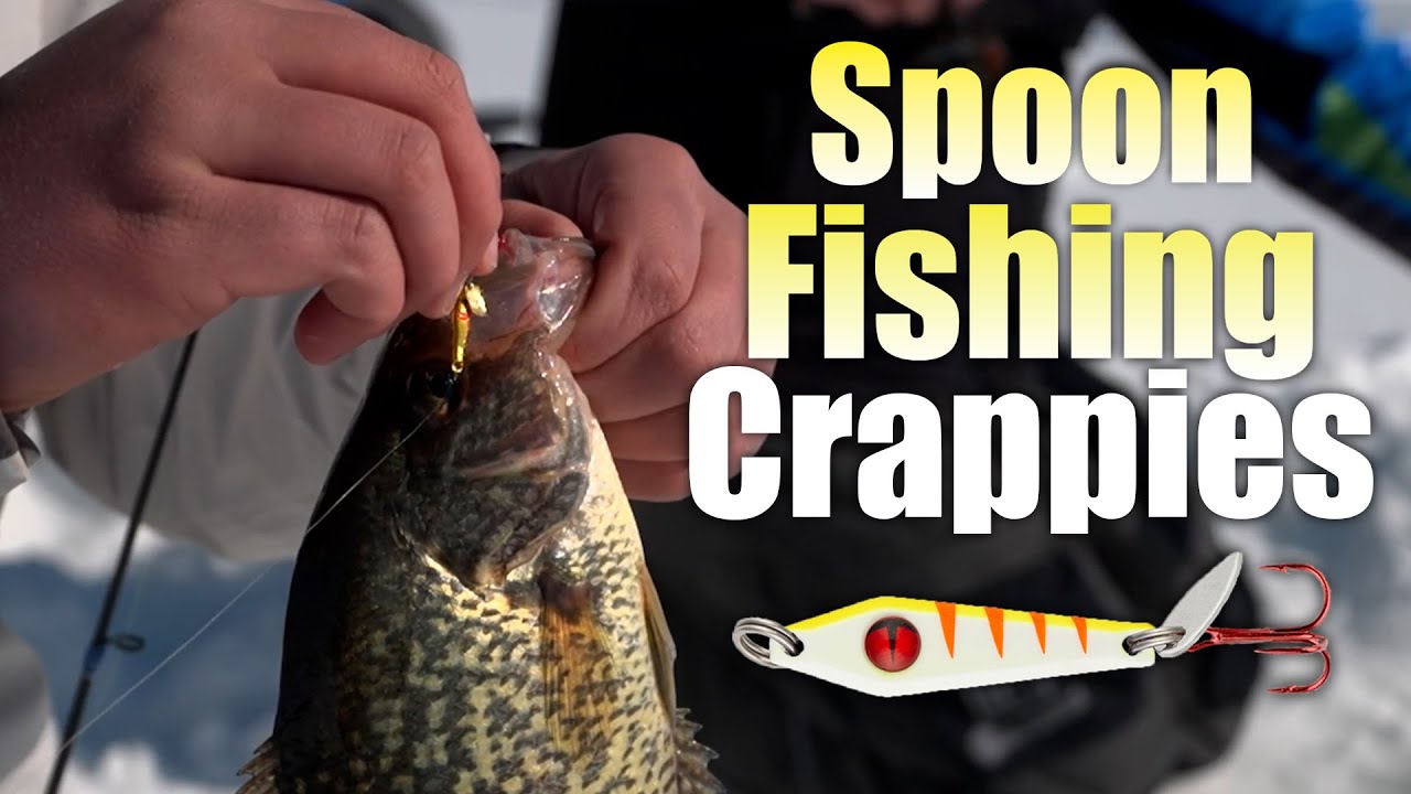 Early Season Crappie Fishing Spoons