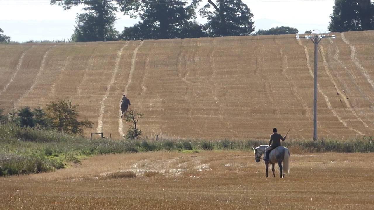 Tynedale hunt 08.10.16