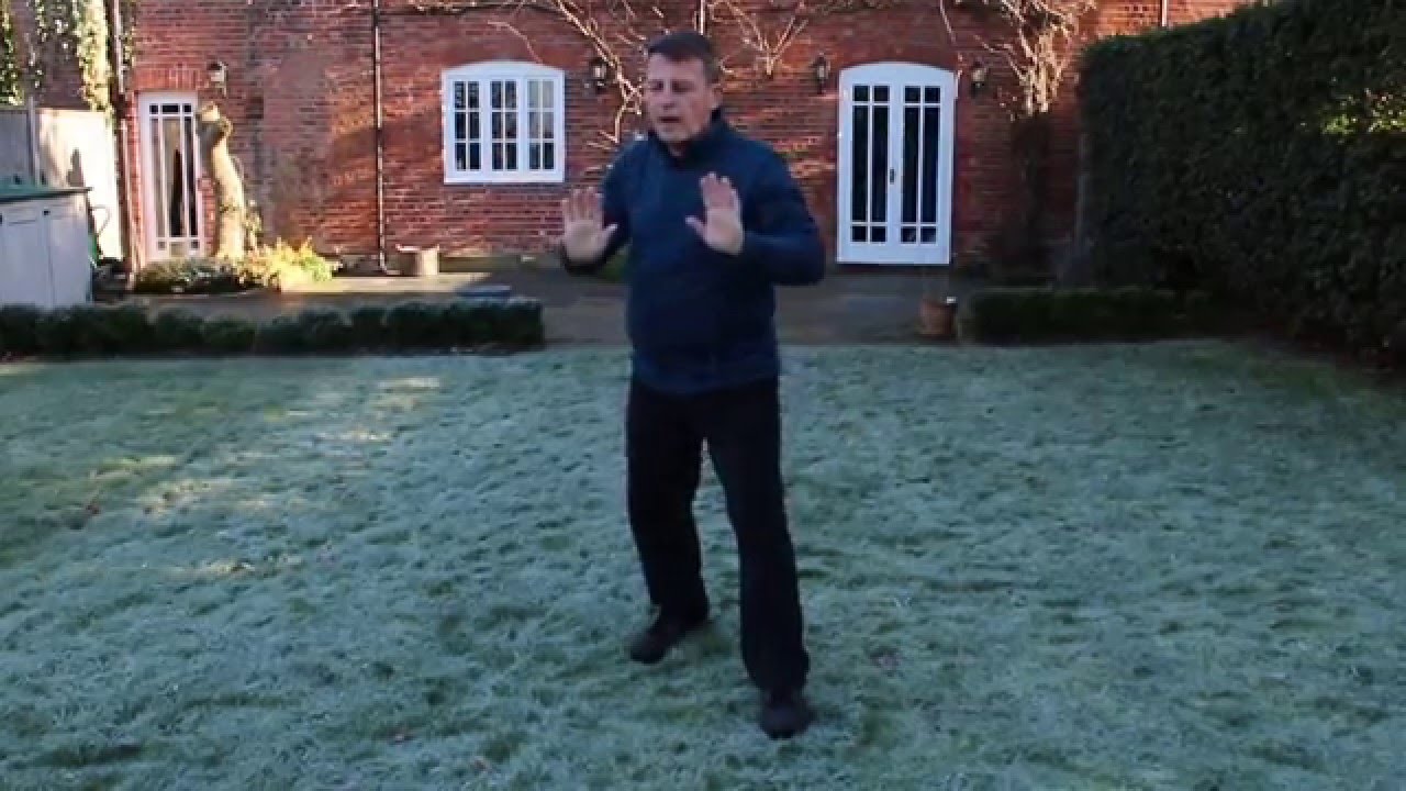 Suffolk Tai Chi Academy 1st 17 moves in Mirror