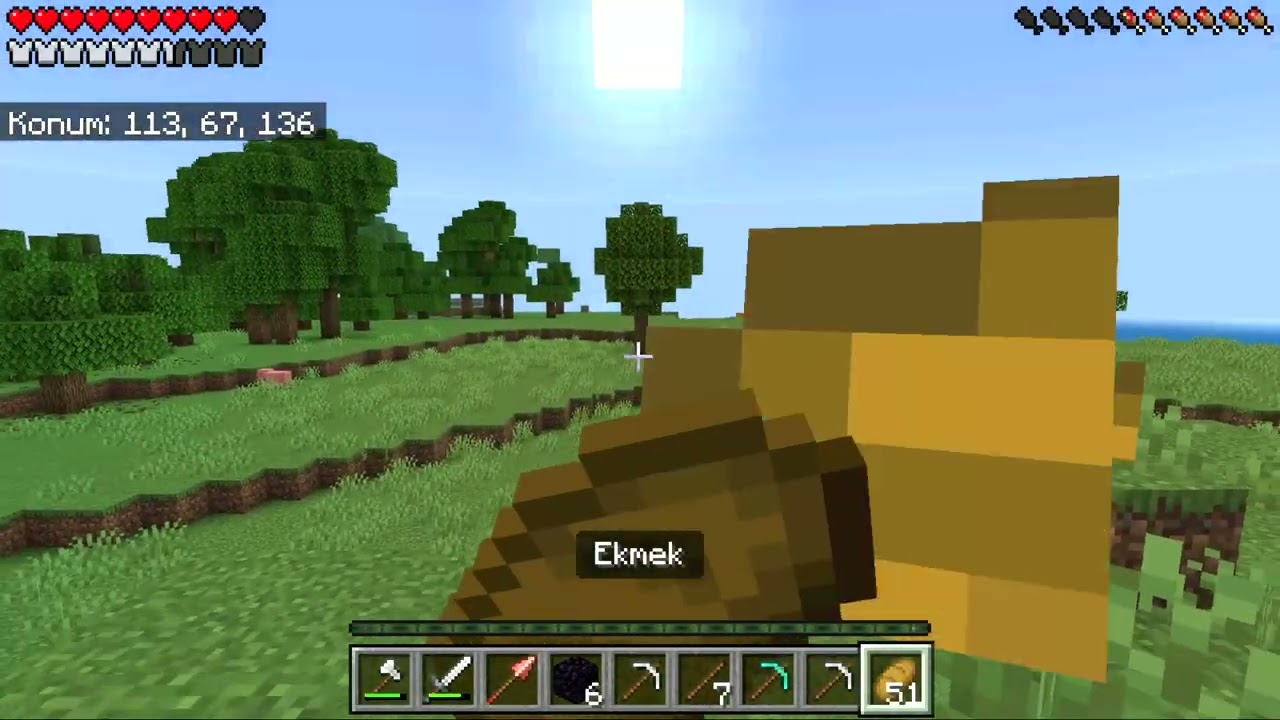 normal Minecraft Oynuyorum