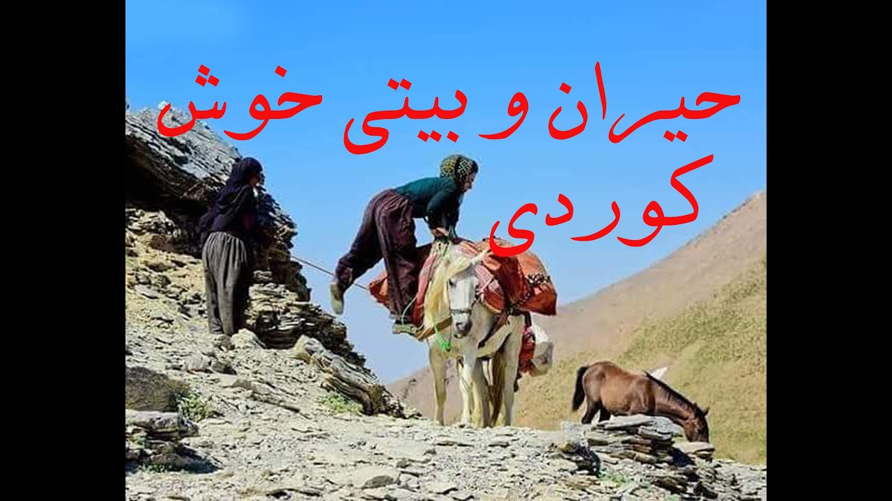 حیران و بیت خوش- کوردی