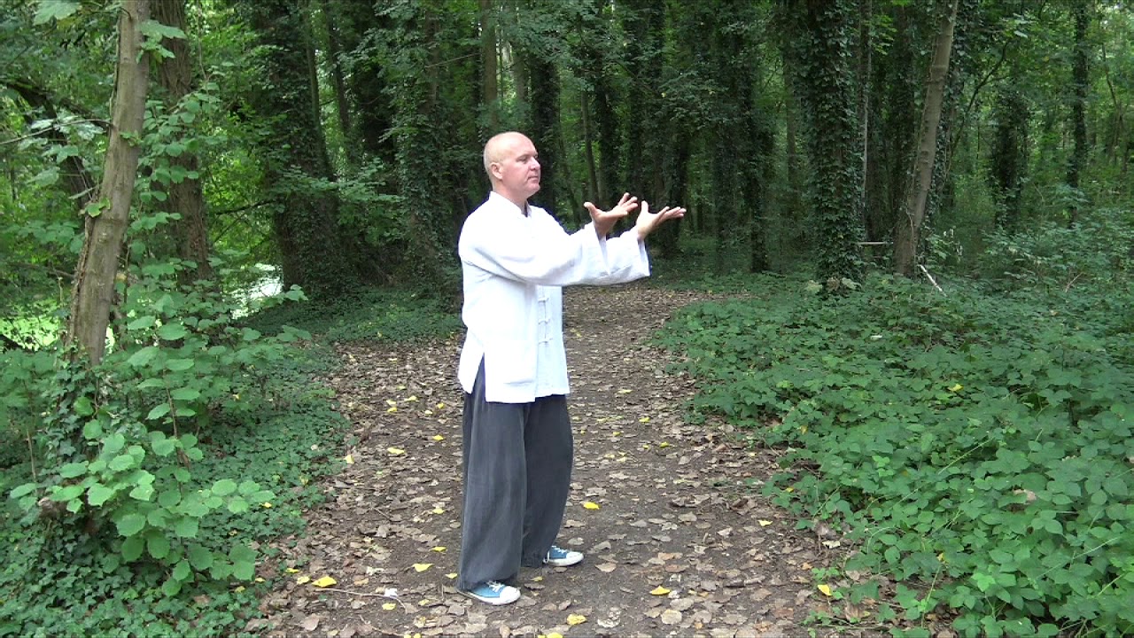 La voie du TAO ...La Tortue du Wudang 1er technique