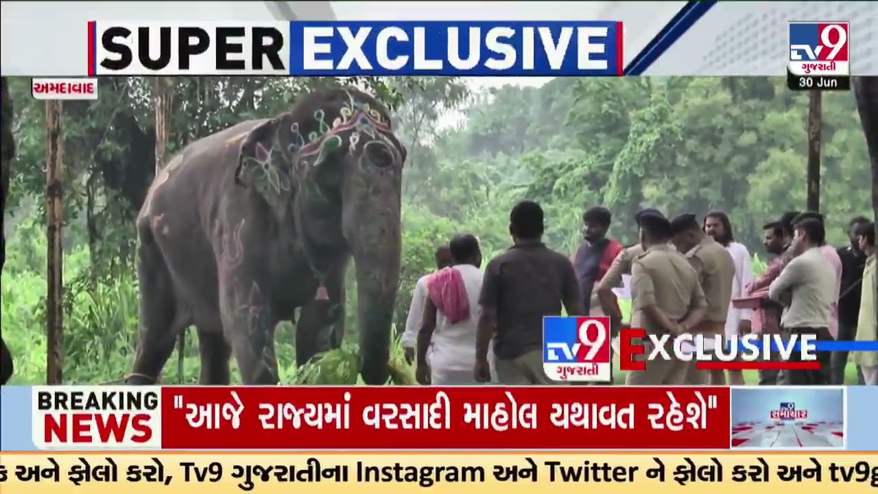 TV9 Exclusive: Aggressive elephants are still isolated after Rathyatra chaos | Ahmedabad | Rathyatra