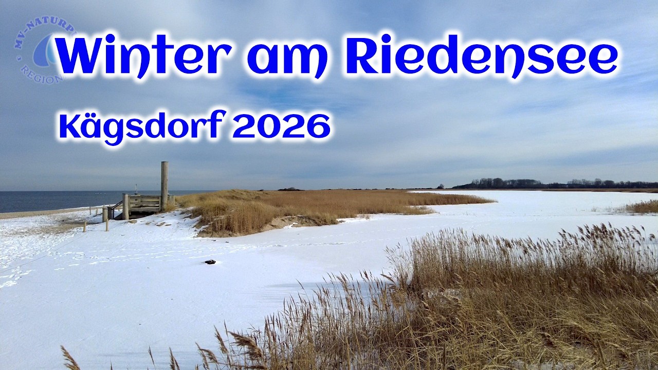 Winter am Riedensee - Kägsdorf 2026