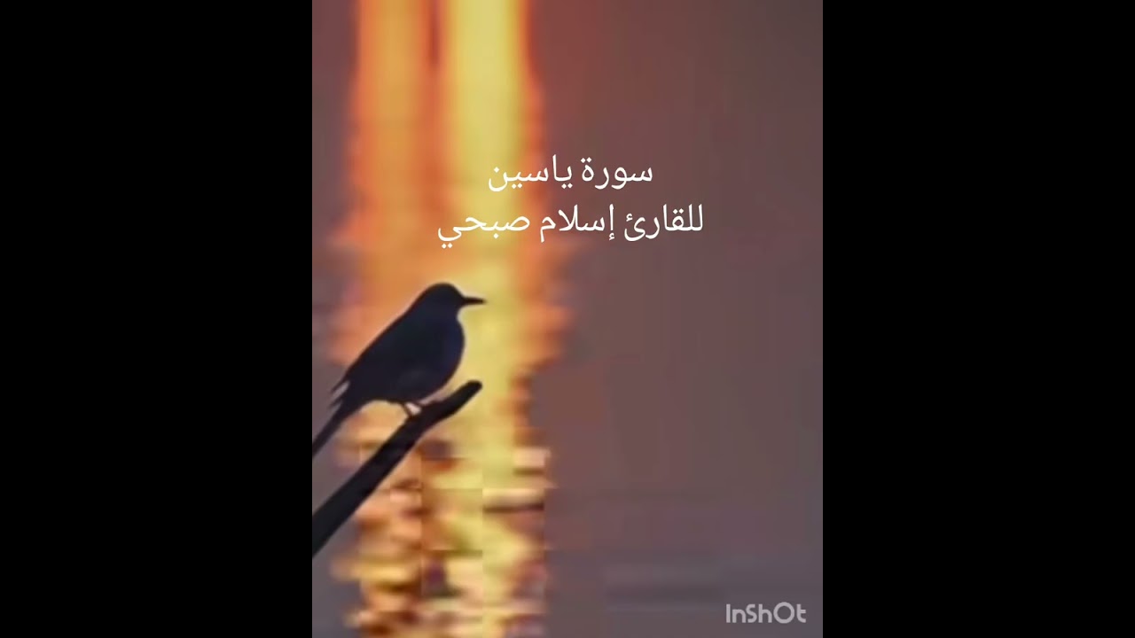 راحة وهدوء استمتع بسماع تلاوة عطرة للقارئ إسلام صبحي
