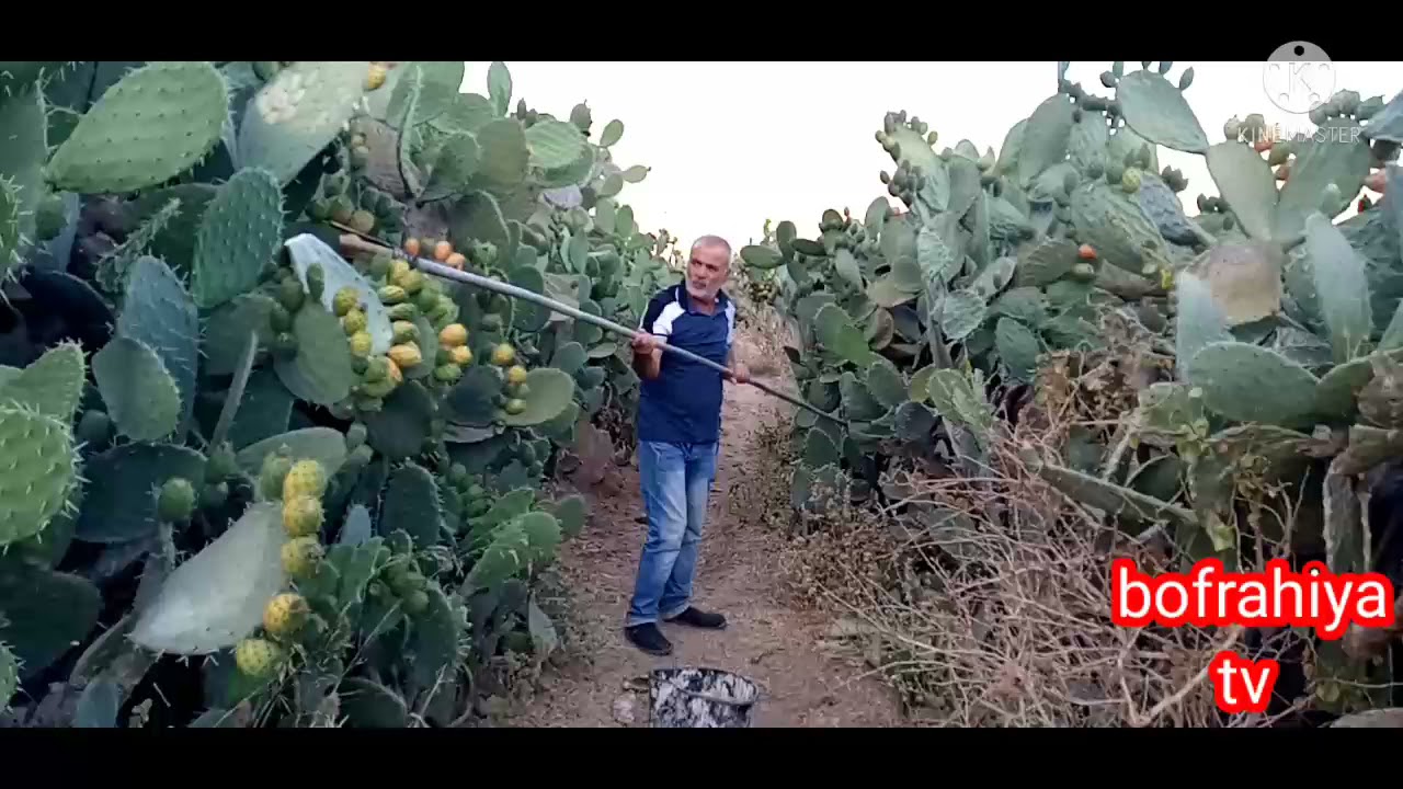جوله معي في دار ستيتو في بني بوفراح😍