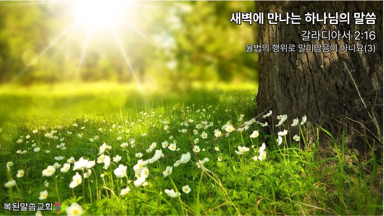 율법의 행위로 말미암음이 아니요(3) / 갈라디아서 2:16