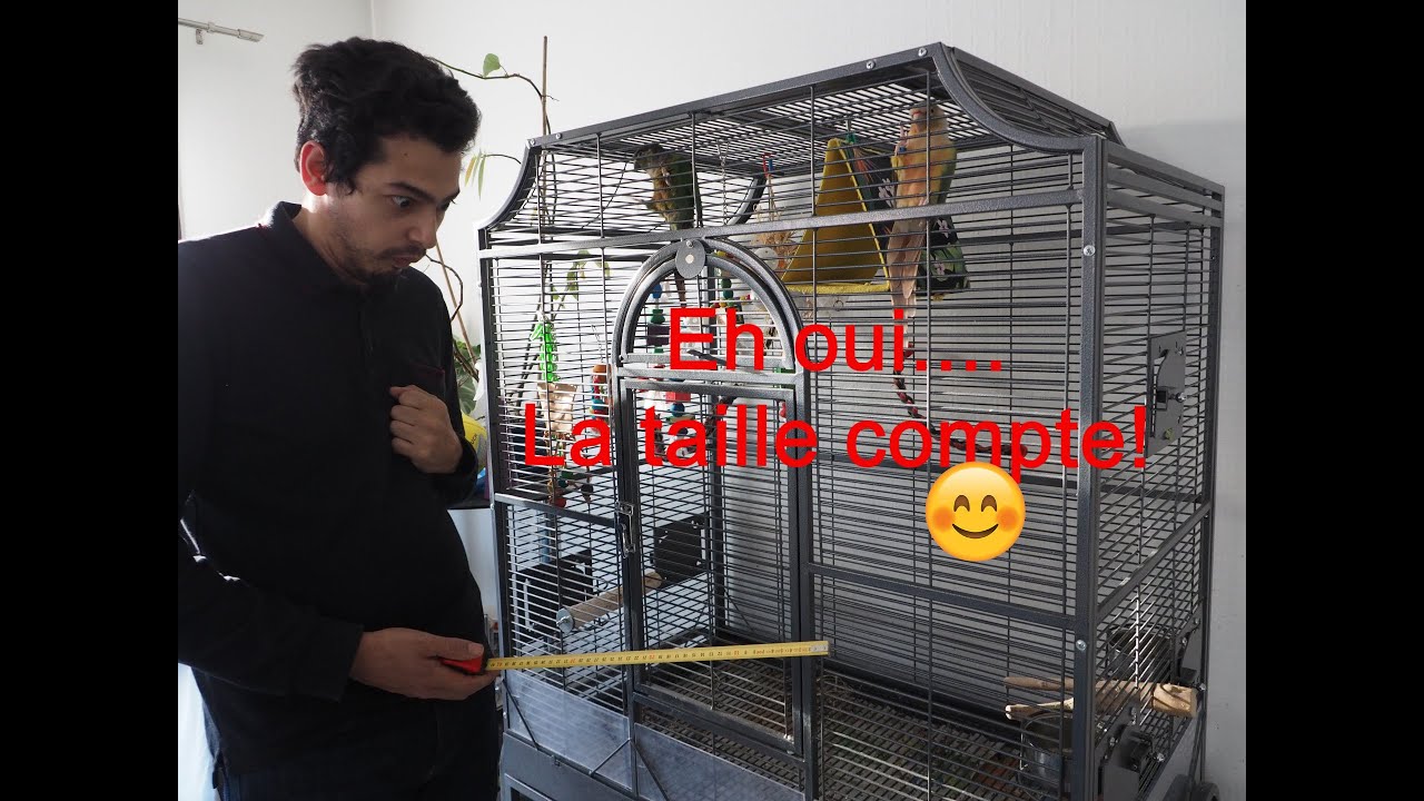 Le choix de la cage! La Taille compte!