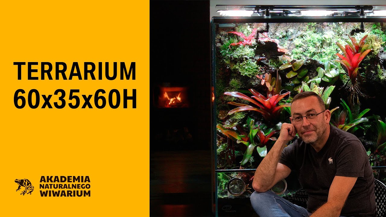 Terrarium 60x35x60 🇵🇱 Akademia Naturalnego Wiwarium
