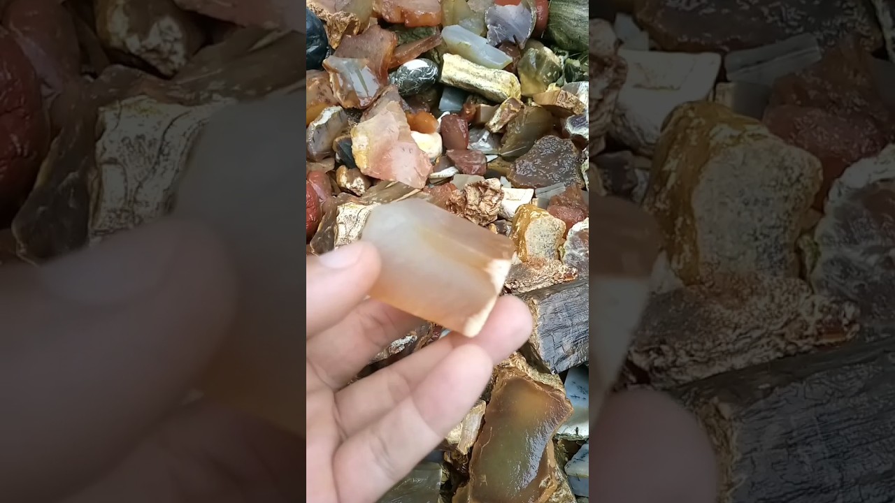 Bahan batu akik raflesia bengkulu 