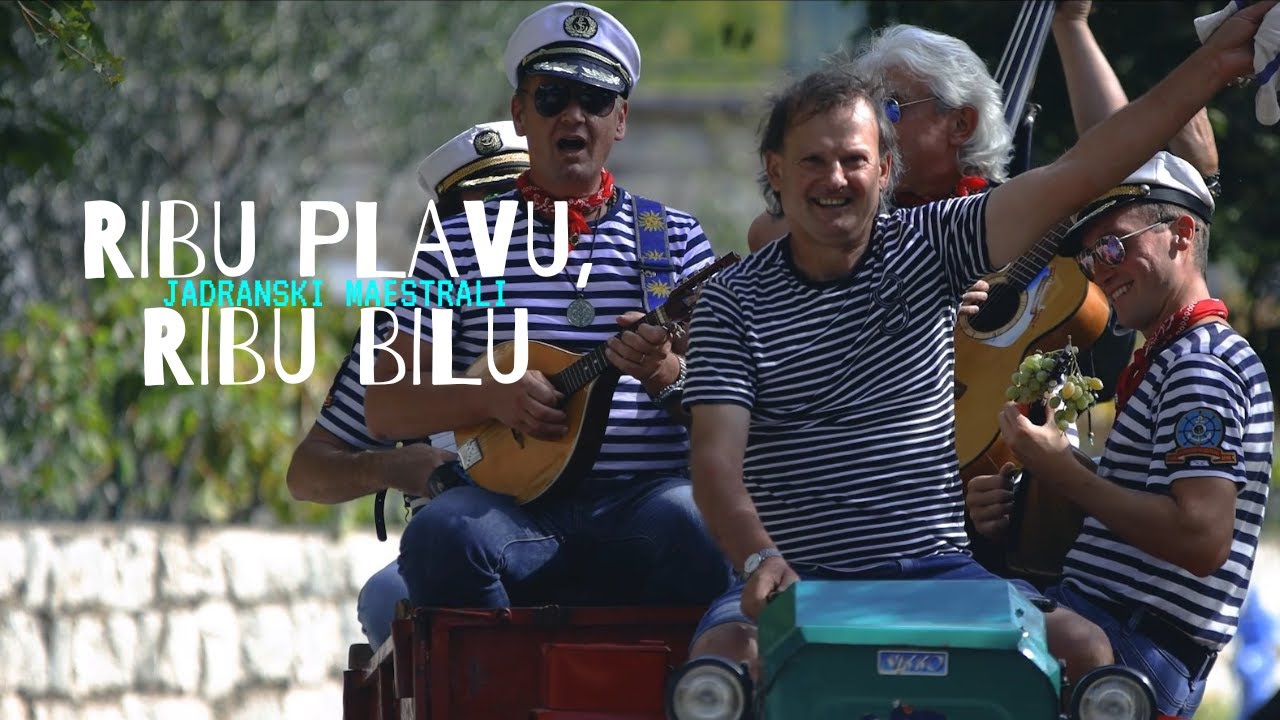 Jadranski maestrali - Riba plava, Riba bila (Official video)