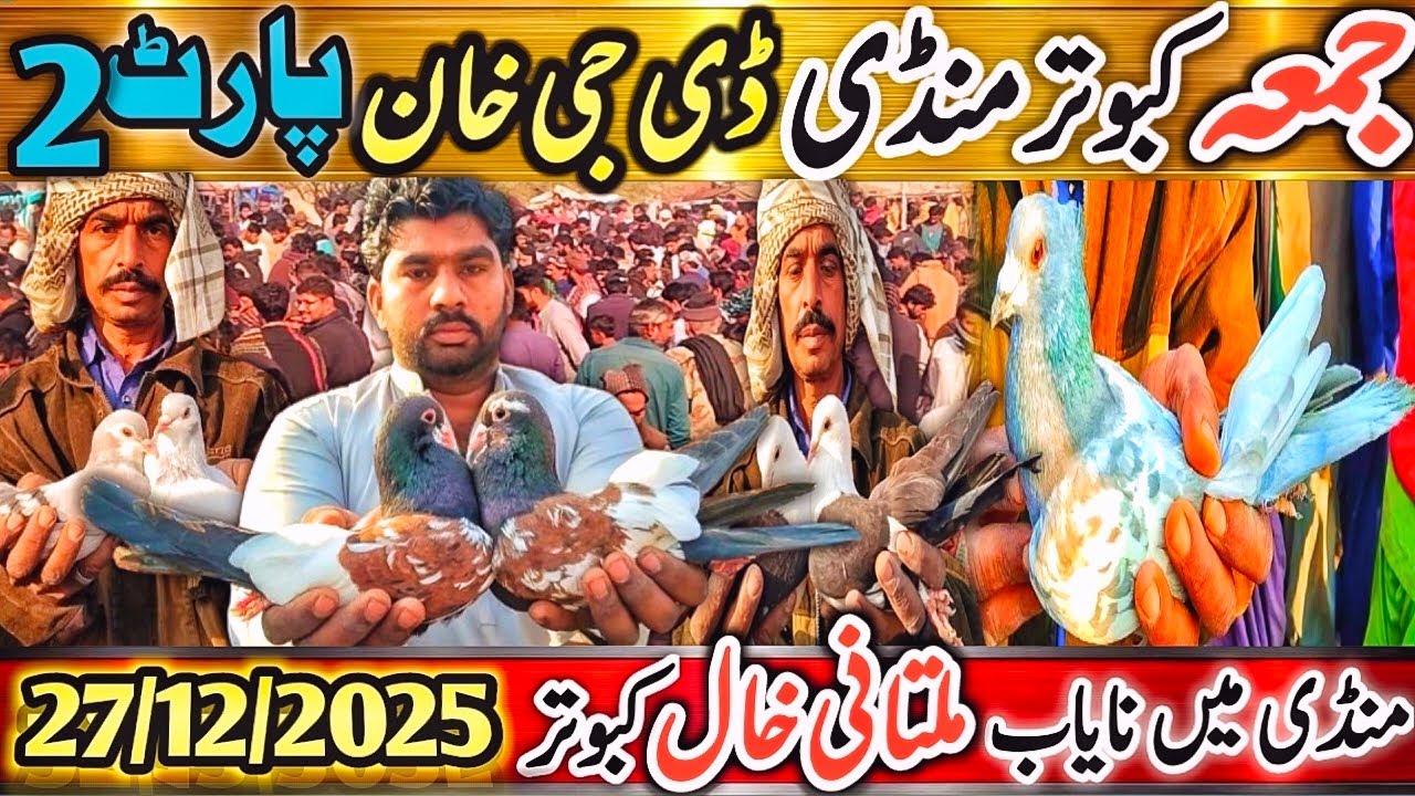 Kabootar Mandi | DGKhan Latest Update 7th Vlog | DGKhan Kabutar Mandi | Pigeon Market DGKhan SpeciaL