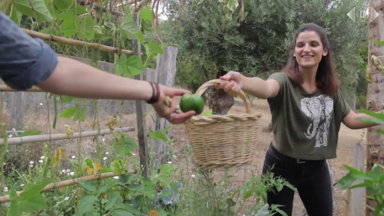 CO Project Farm Portugal: Contemporary Sustainable Living Experiences by Leyla Acaroglu
