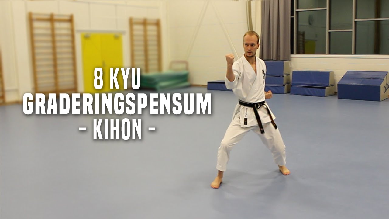 8.Kyu - Kihon