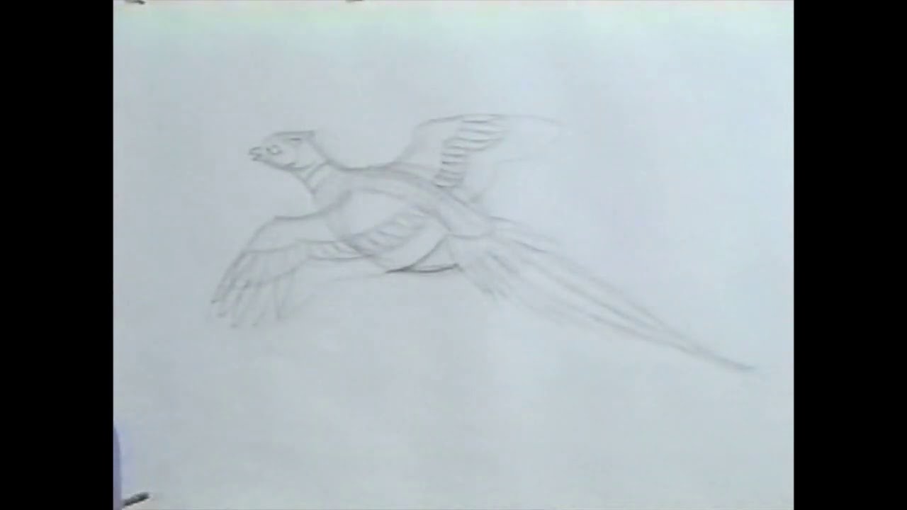 Capt. Bob Let's Draw a Pheasant