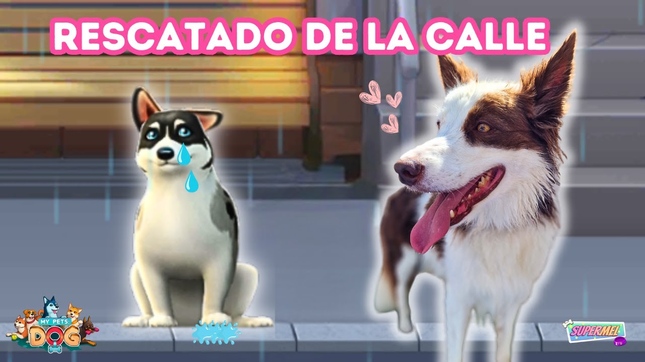 SIMULADOR de ADOPTAR PERROS CALLEJEROS! 🐶 #2