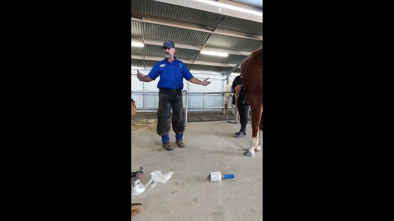 Glushu Glue On Horse Shoes Workshop Video