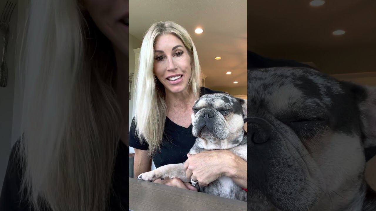 Puppy Sales Contracts