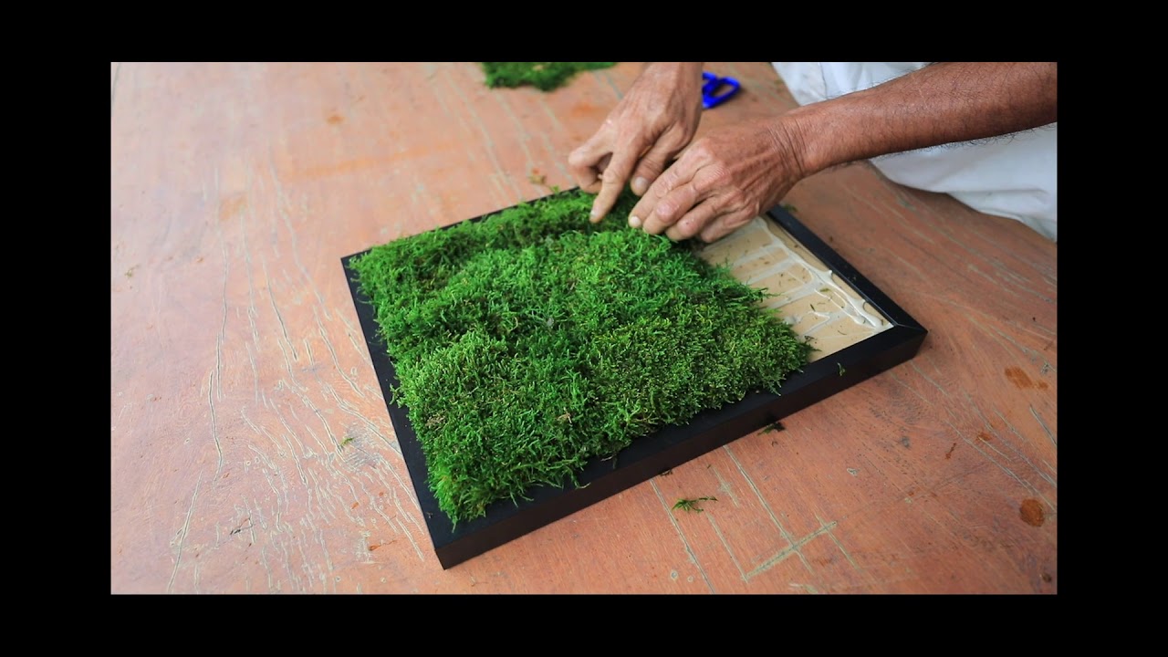 Flat Moss Installation