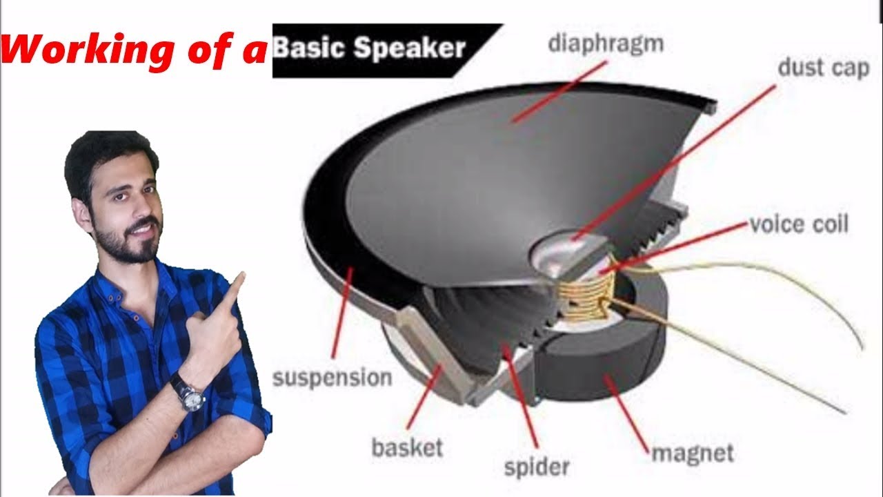 How does a Speaker, Subwoofer, Tweeter work?