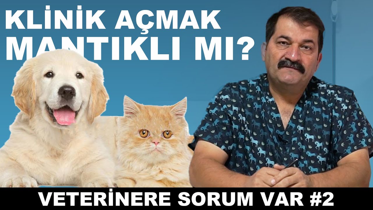 YENİ KLİNİK AÇARKEN NELERE DİKKAT EDİLMELİ // VETERİNERE SORUM VAR #2 /