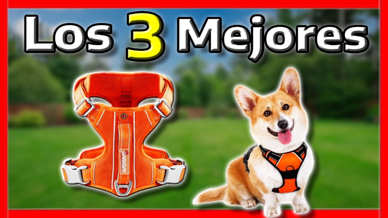 🛑Los 3 MEJORES ARNESES Para PERROS de Amazon | PECHERA para PERRO 🐶