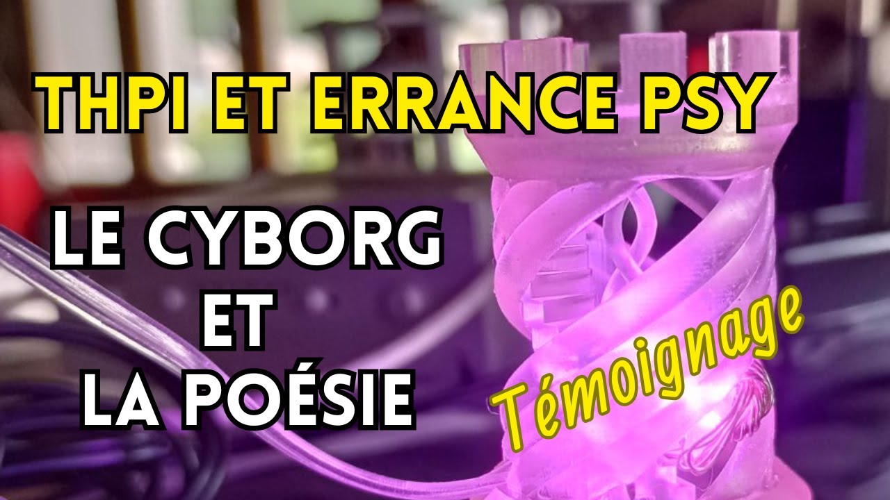 Le Cyborg et la poésie. Témoignage THPI et errance psychiatrique