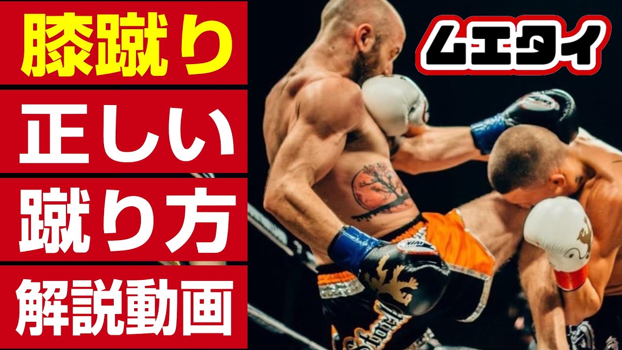 【ムエタイ練習 】正しい膝蹴りの蹴り方！膝蹴りを当てるポイントを解説！