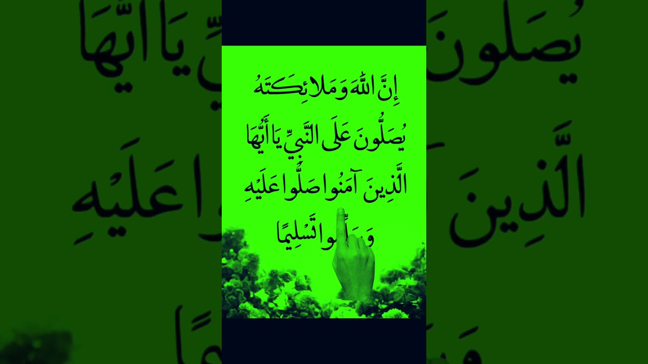 Quran verses recitation #beautifulrecitation #egzonibrahimi #quran #islam #quranrecitation #love