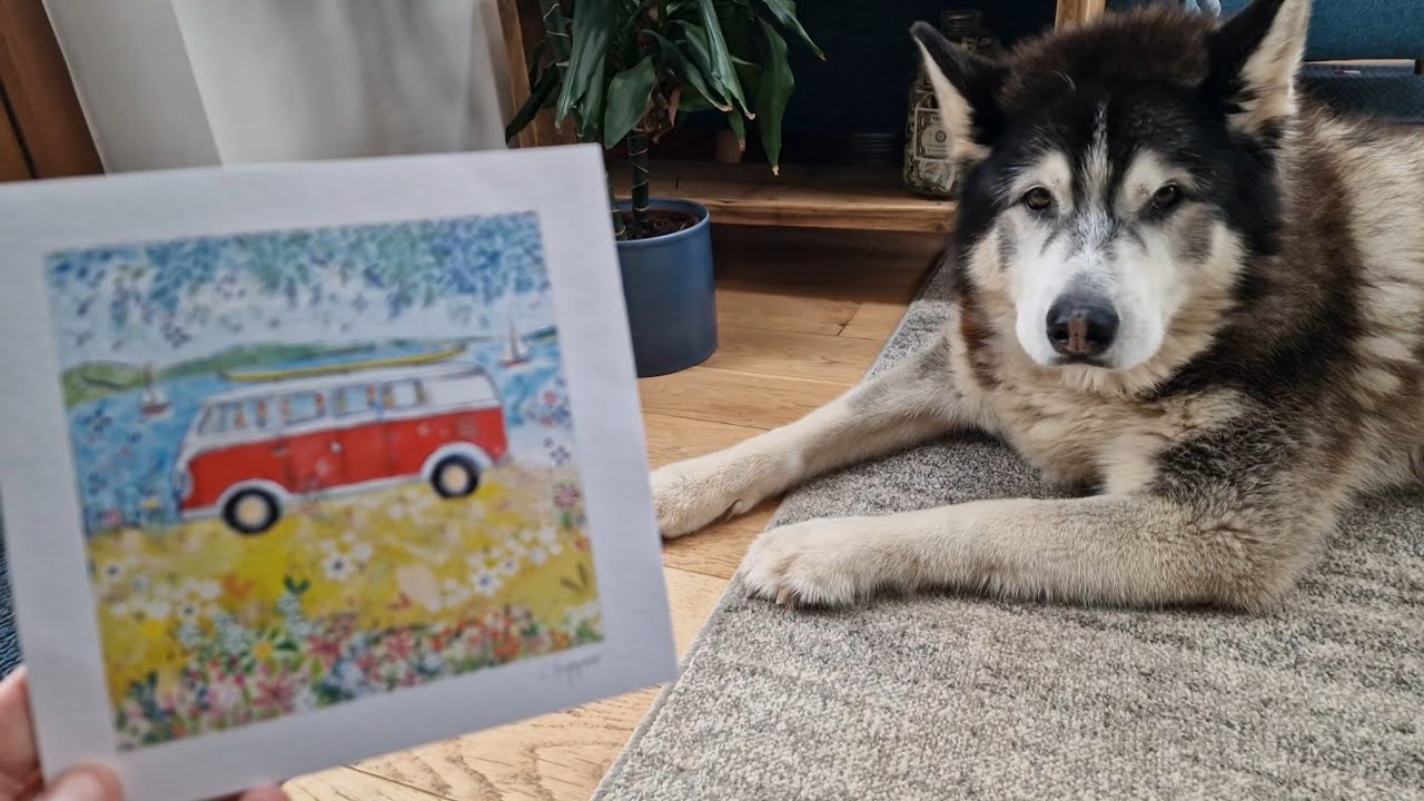 Catching Up With The Sherpa Mail