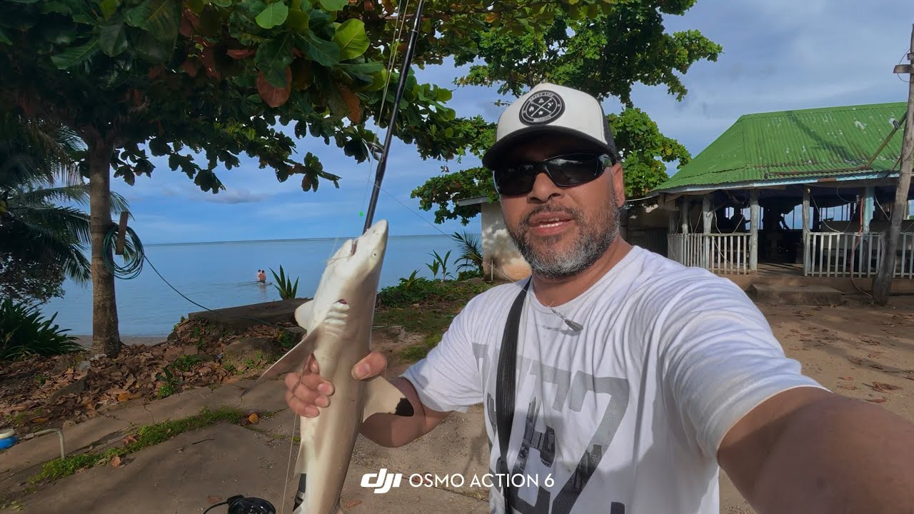 Caught a baby shark in Samoa