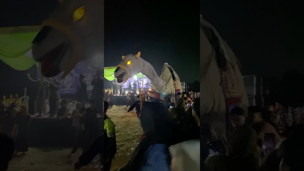 Onta lagi. Hobi banget ikut karnaval pawai obor
