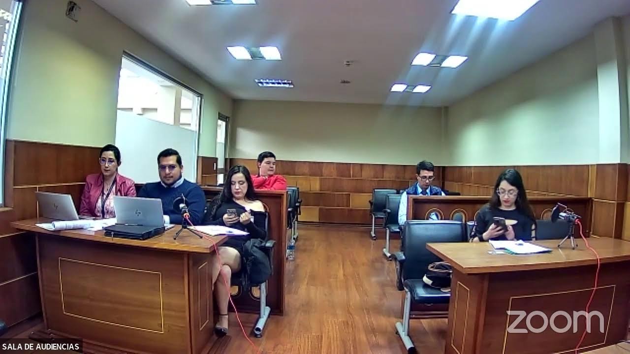 ACCIÓN DE PROTECCIÓN 17295-2023-00127