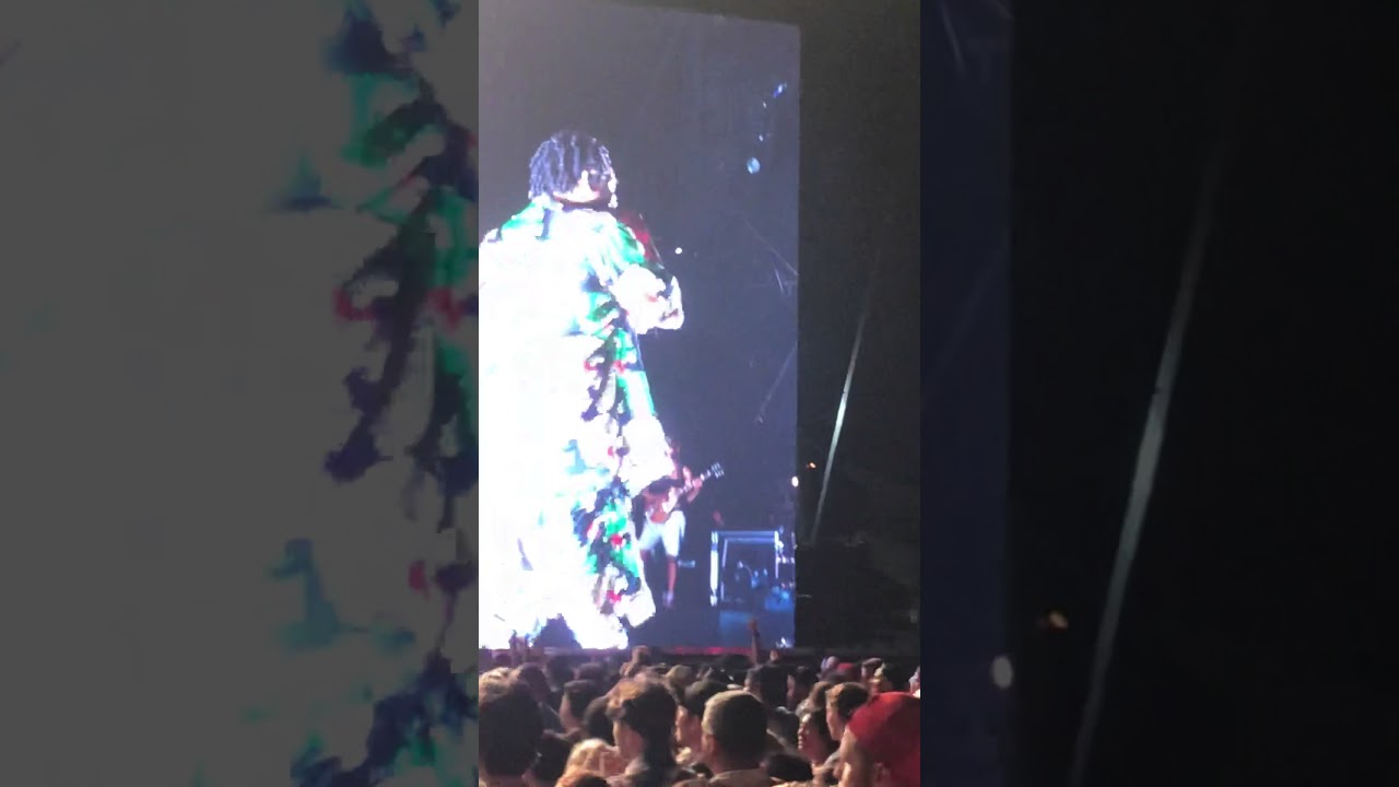 Kendrick Lamar brings fan Rohan Ghosh on stage at Hangout Fest 2018 